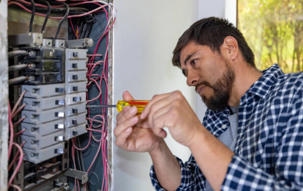 Best Electric Panel Repair  in Sunnyside, GA